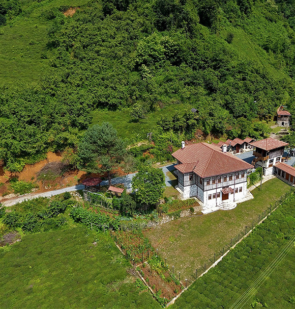 Babalık Doğal Yaşam Konağı Hakkında