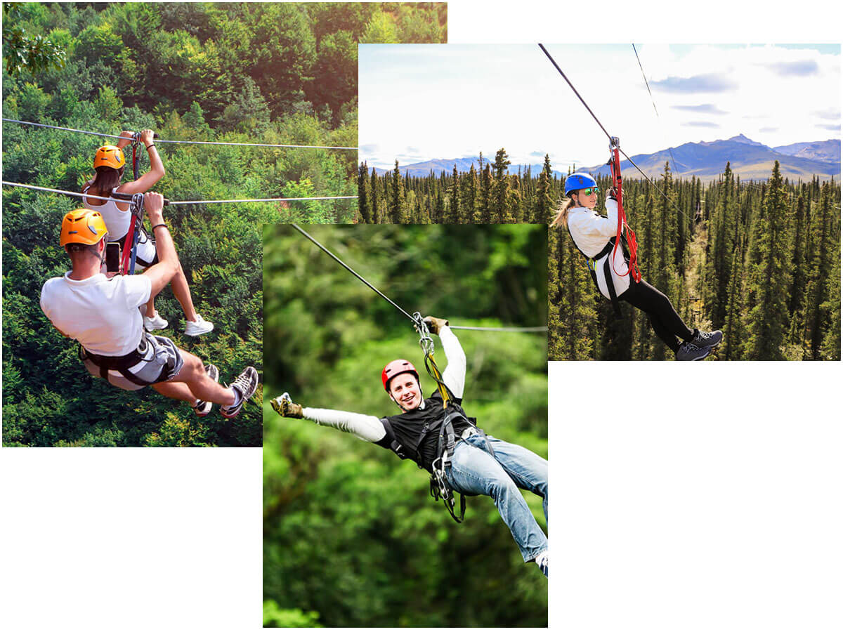 Zipline